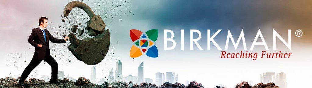 qualificacao-birkman