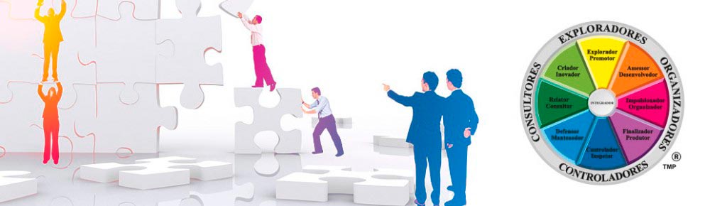team-management-profile-desenvolvimento-de-equipes